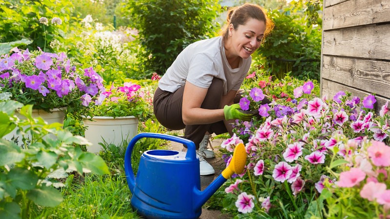 Dieser Trick verändert alles: So bleibt dein Garten den ganzen Sommer grün