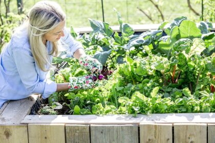 Gärtner können es kaum glauben: Pflanzen wachsen plötzlich doppelt so schnell