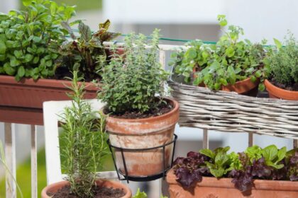 Gärtner sind begeistert: Dieser einfache Trick lässt Pflanzen schneller wachsen