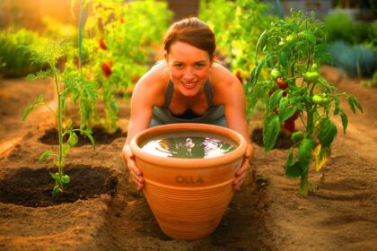 Ein alter Garten-Trick erlebt ein Comeback und begeistert Experten