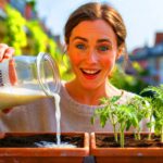 Gärtner schwören auf diesen überraschenden Tipp für schnelleres Wachstum