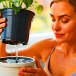 Mit nur einem Handgriff: So rettest du kranke Pflanzen sofort