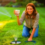 Überraschend simpel: So bleibt der Rasen dauerhaft saftig grün