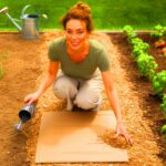 Unglaublich effektiv: Dieser Garten-Hack spart Zeit und Geld zugleich