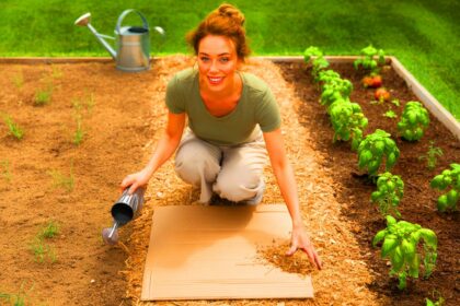 Unglaublich effektiv: Dieser Garten-Hack spart Zeit und Geld zugleich