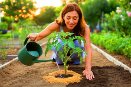 Viele machen diesen Fehler im Garten — dabei ist die Lösung so einfach