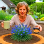 Dieses Hausmittel verändert gerade viele Gärten in Deutschland