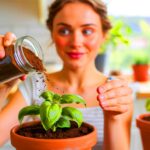 Dieses Küchenprodukt kann Pflanzen schneller wachsen lassen