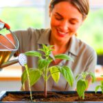 Dieses natürliche Mittel kann schwache Pflanzen retten