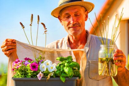 Ein alter Gärtner-Trick bringt schwache Blumen zurück ins Gleichgewicht