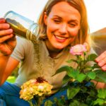 Ein altes Hausmittel sorgt plötzlich wieder für kräftige Blüten