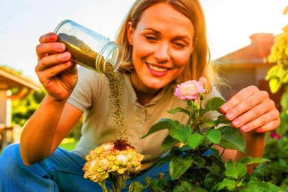 Ein altes Hausmittel sorgt plötzlich wieder für kräftige Blüten