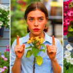 Ein einfacher Trick lässt Blumen deutlich länger blühen