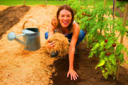 Mit diesem simplen Trick sparen Sie Wasser und Ihre Pflanzen danken es