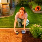 So bekommen Sie einen grüneren Garten ohne zusätzlichen Aufwand