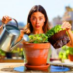 Viele machen diesen Fehler beim Gießen ohne es zu merken