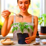 Warum ein Löffel aus der Küche Pflanzen sichtbar stärken kann