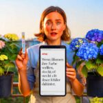 Wenn Blumen ihre Farbe verlieren, steckt oft dieser Fehler dahinter